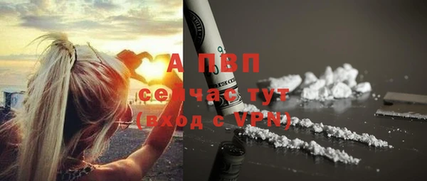 ECSTASY Волоколамск