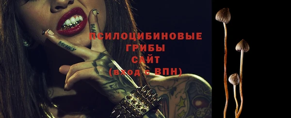 ECSTASY Волоколамск