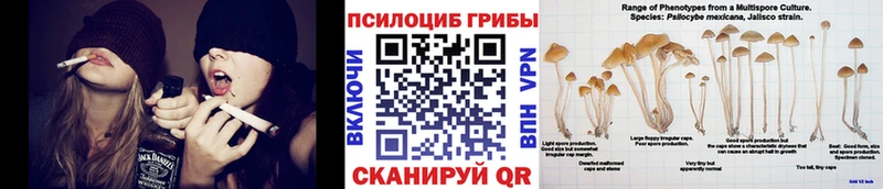 Галлюциногенные грибы мухоморы  где купить наркоту  Вольск 